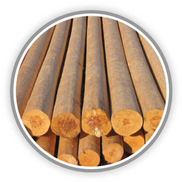Madera Postes